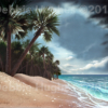 Beach, ocean, waves, palm trees, sand, storm, ocean