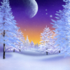 Solstice, Winter, snow, evening, moon, stars, icy trees, christmas, festive, holiday