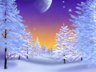 Solstice, Winter, snow, evening, moon, stars, icy trees, christmas, festive, holiday