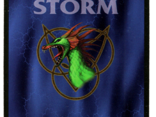 Dragon Storm Collectible Game Card Back Dragon Storm Collectible Game Cards