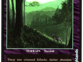 Wooded Highland, DragonStorm Collectible Game Card Dragon Storm Collectible Game Card, Green forest, wolf