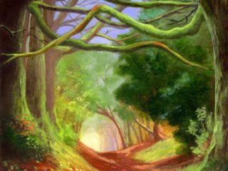 Beautiful forest path through woods in a fall setting. Magical, enchanting and fantasy image.