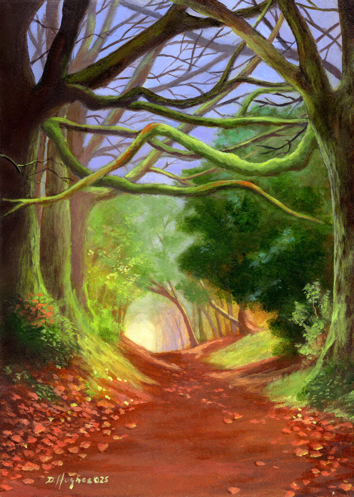 Beautiful forest path through woods in a fall setting. Magical, enchanting and fantasy image.